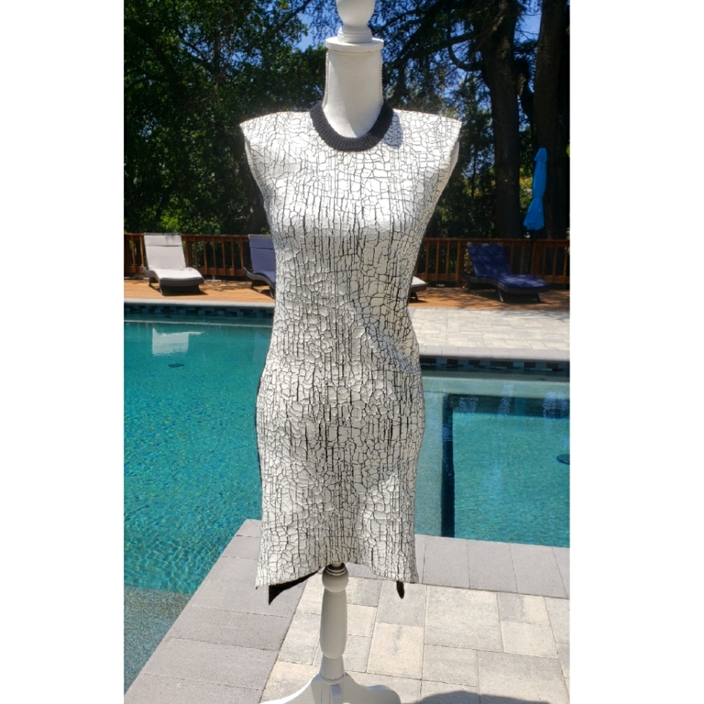 Exquisite BALENCIAGA Dress Size 38